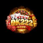 DK222 Game