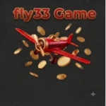 fly33 Game